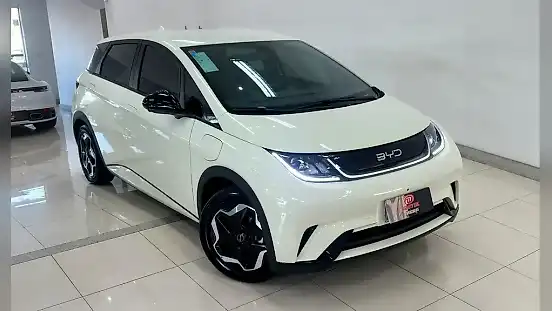 Foto de um byd dolphin