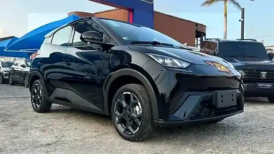 Foto de um byd dolphin