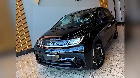 Foto de um byd dolphin
