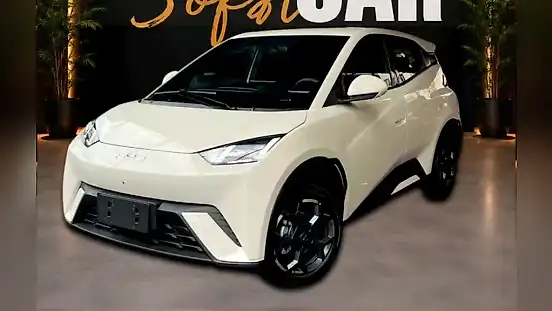 Foto de um byd dolphin mini