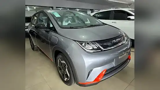 Foto de um byd dolphin