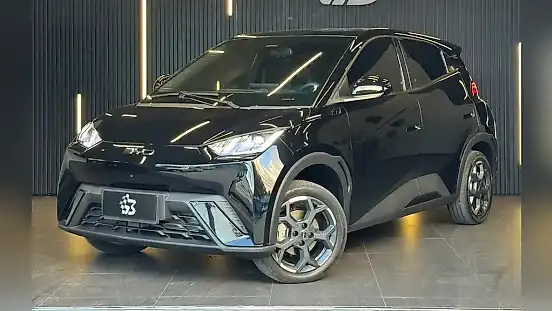 Foto de um byd dolphin