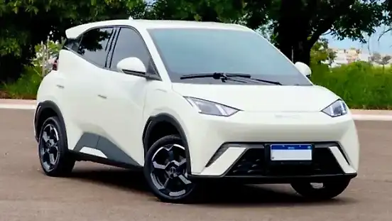 Foto de um byd dolphin mini