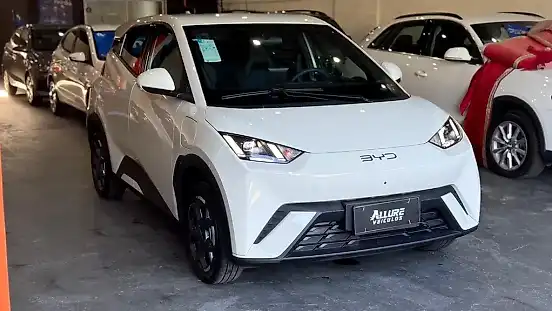 Foto de um byd dolphin mini