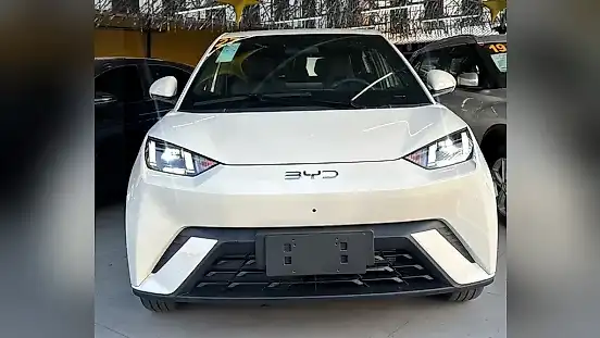 Foto de um byd dolphin