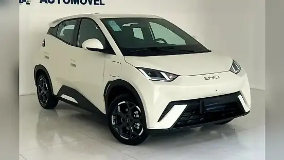 Foto de um byd dolphin mini