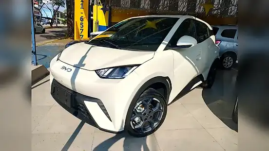 Foto de um byd dolphin mini