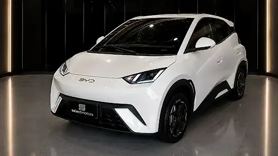 Foto de um byd dolphin mini