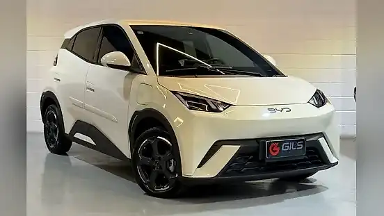 Foto de um byd dolphin mini