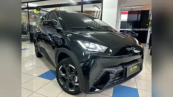 Foto de um byd dolphin mini