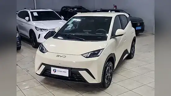 Foto de um byd dolphin mini