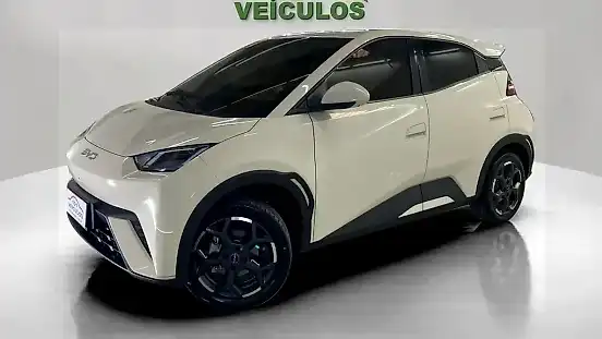 Foto de um byd dolphin mini