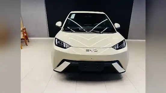Foto de um byd dolphin mini