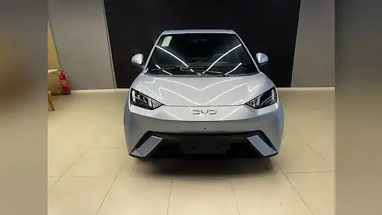 Foto de um byd dolphin mini
