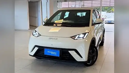 Foto de um byd dolphin mini