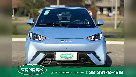 Foto de um byd dolphin