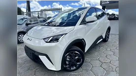 Foto de um byd dolphin mini