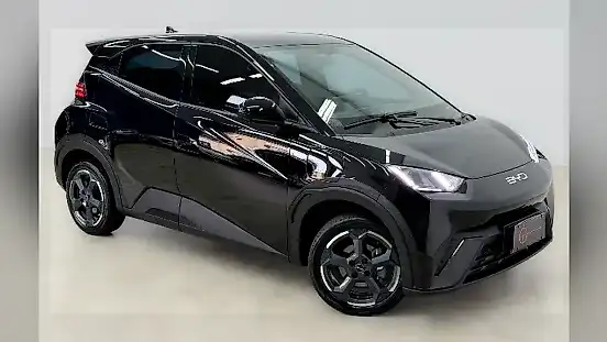 Foto de um byd dolphin mini