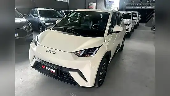 Foto de um byd dolphin mini