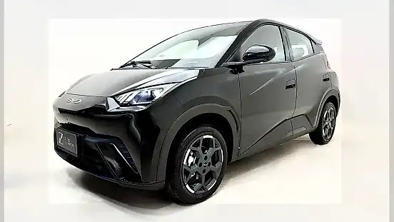Foto de um byd dolphin mini