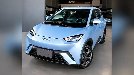 Foto de um byd dolphin mini