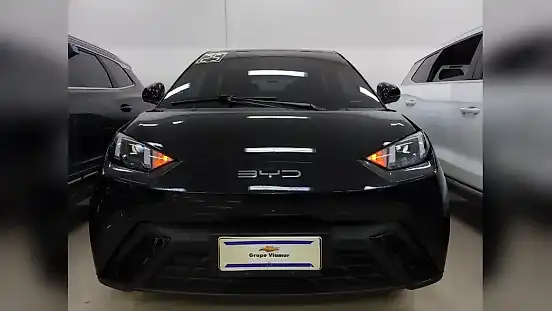 Foto de um byd dolphin mini