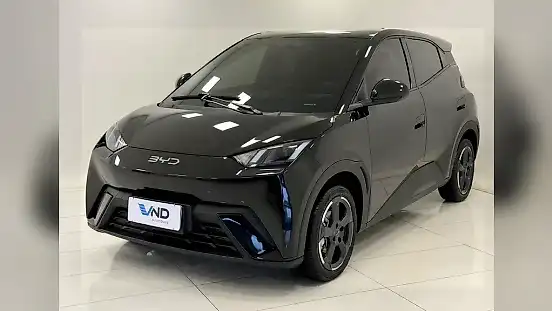 Foto de um byd dolphin