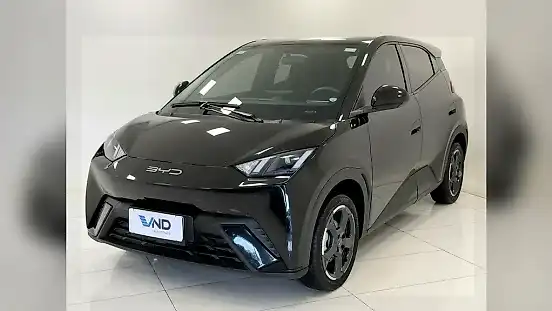 Foto de um byd dolphin