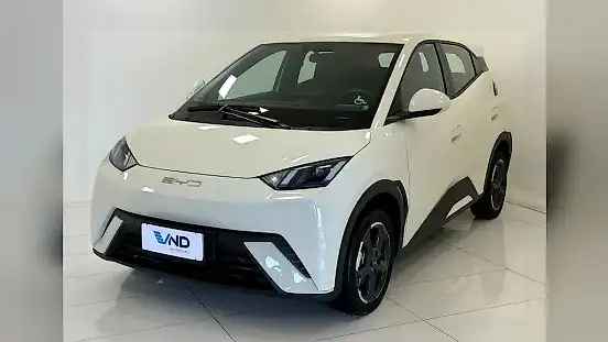 Foto de um byd dolphin