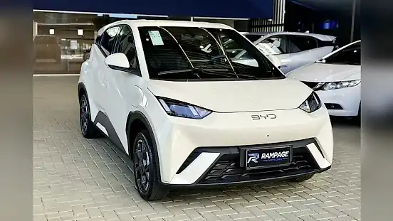 Foto de um byd dolphin mini