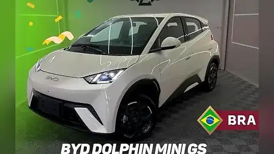 Foto de um byd dolphin mini