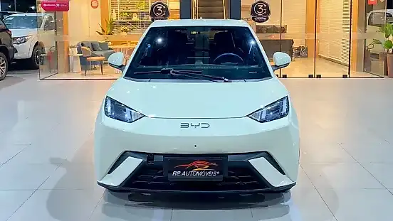 Foto de um byd dolphin mini