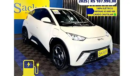 Foto de um byd dolphin