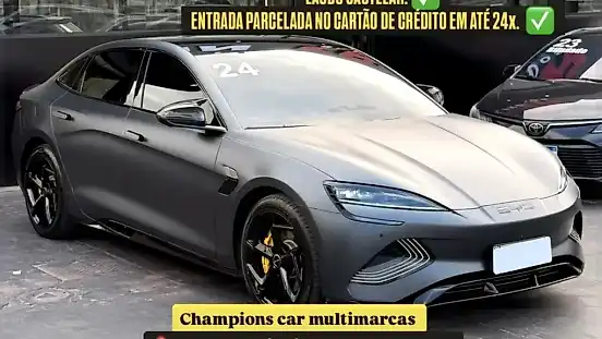 Foto de um byd seal