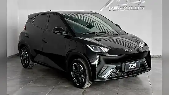 Foto de um byd dolphin mini