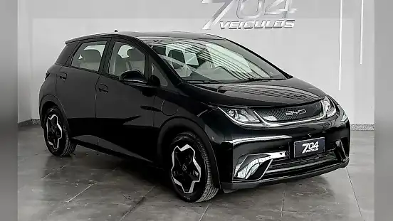 Foto de um byd dolphin