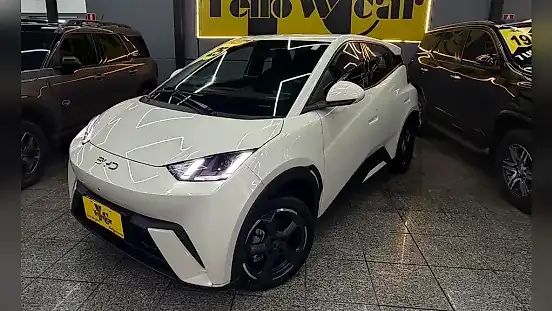 Foto de um byd dolphin mini