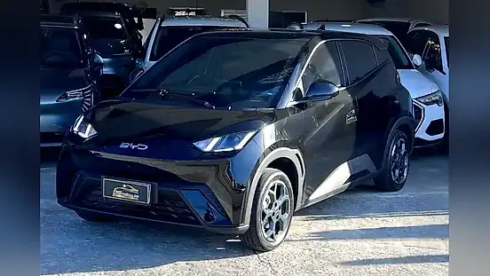 Foto de um byd dolphin mini