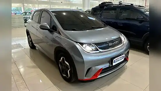 Foto de um byd dolphin