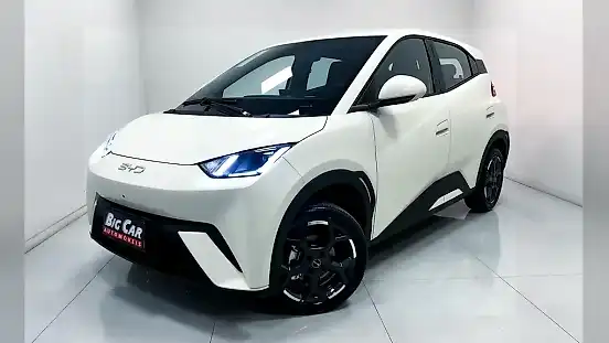 Foto de um byd dolphin