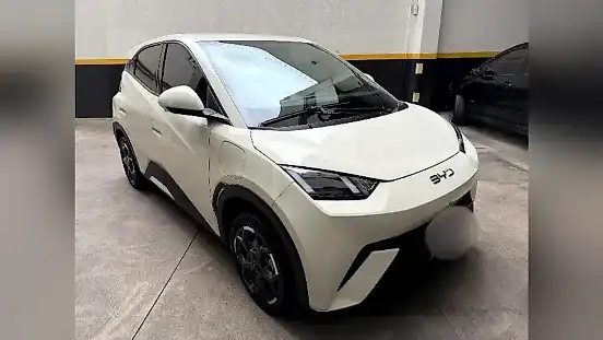 Foto de um byd dolphin mini