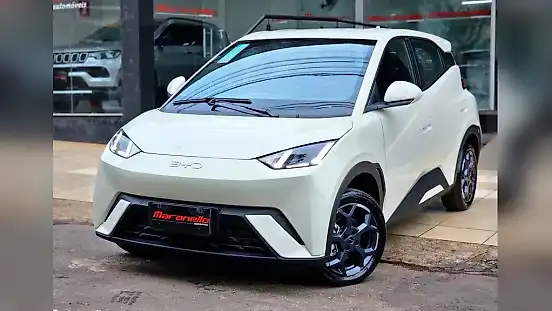 Foto de um byd dolphin mini