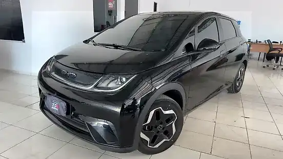 Foto de um byd dolphin