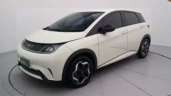 Foto de um byd dolphin