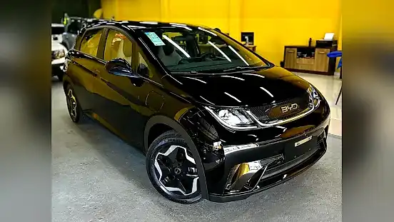 Foto de um byd dolphin mini