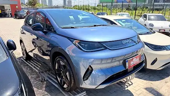 Foto de um byd dolphin special edition