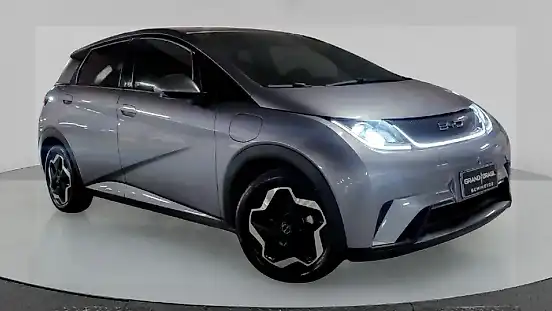 Foto de um byd dolphin