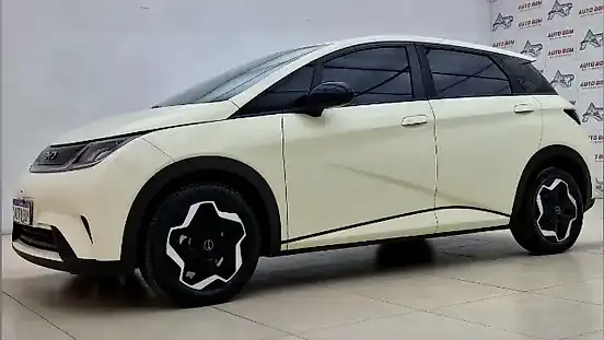 Foto de um byd dolphin