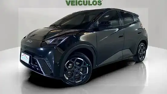 Foto de um byd dolphin mini