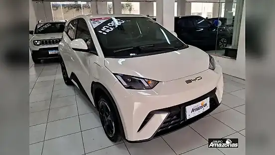 Foto de um byd dolphin mini